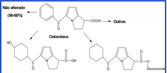 Figura 2 – Metabolismo do Cetorolaco 