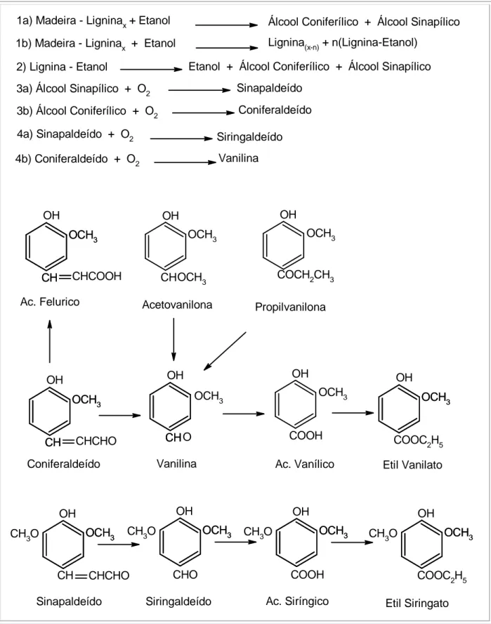 FIGURA  5  –  Mecanismos  simplificados  de  formação  de  compostos  fenólicos  de  baixo peso molecular e ésteres a partir da madeira
