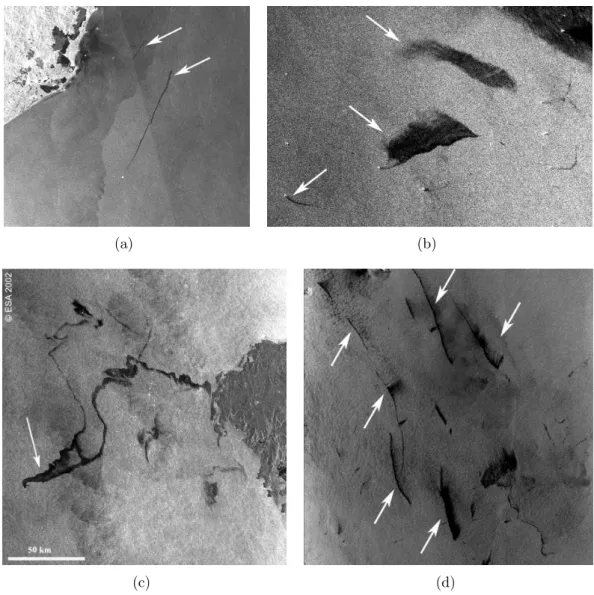 Figura 1.1: Exemplo de imagens SAR obtidas de satélites exibindo manchas (a) na costa do Brasil, (b) no Mar do Norte, (c) na costa da Espanha e (d) no sul da China