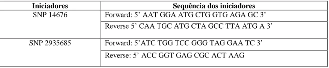 Figura 6 - PCR- RFLP para detecção do genótipo de M. leprae 