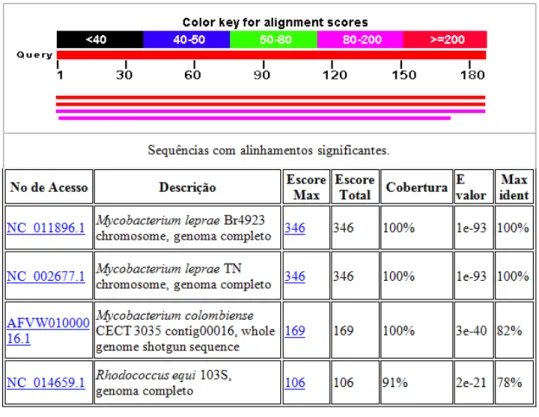 Figura 9 - Alinhamento do produto de 187pb referente ao gene gyrA de M. leprae em relação  a todas as sequencias nucleotídicas de micróbios empregando a ferramenta BLAST