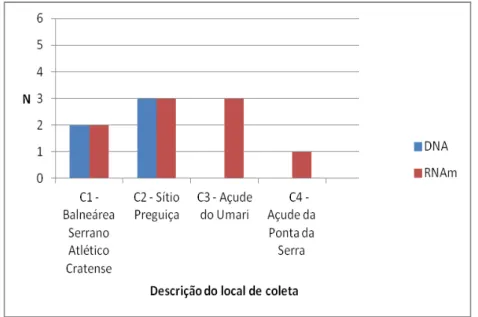 Figura  19  –   Frequência  de  DNA  e  RNAm  de  M.  leprae  nos  quatro  sítios  de  coleta  do  município de Crato, Ceará, em novembro de 2010