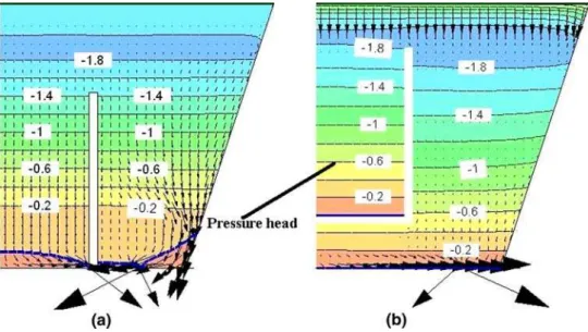 Fig. 12 Numerical modeling with seep: a geometry, boundary conditions, mesh and b initial conditions