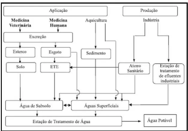 Figura 4 – Possíveis rotas de interferentes endócrinos no meio ambiente. 