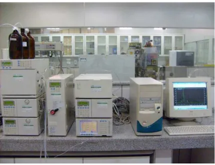 Figura 3. Aparelho de cromatografia líquida de alta eficiência com detecção de  ultravioleta utilizado na quantificação das amostras contendo amoxicilina