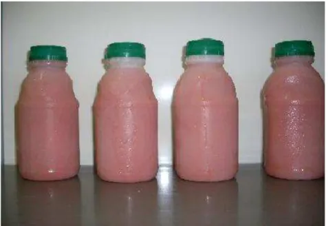 Figura 2 - Amostras de néctar de goiaba adoçado com mel e com açúcar embalados em  garrafas de polietileno de alta densidade (PEAD)