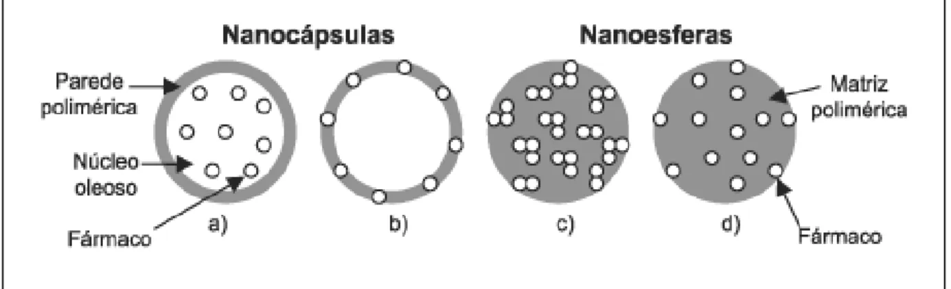 Figura 1 - Representação esquemática de nanocápsulas e nanoesferas poliméricas: (a) fármaco  dissolvido no núcleo oleoso das nanocápsulas; (b) fármaco adsorvido à parede polimérica das  nanocápsulas; (c) fármaco retido na matriz polimérica das nanoesferas;