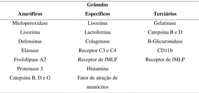 Tabela 3 – Principais constituintes dos grânulos de neutrófilos humanos. 