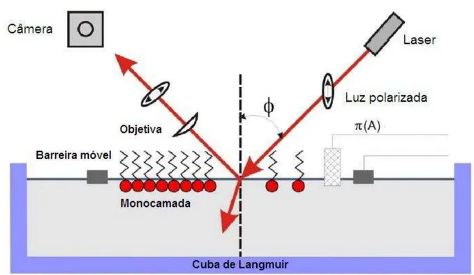 Figura 11  –  Ilustração do principio da microscopia do angulo de Brewester 