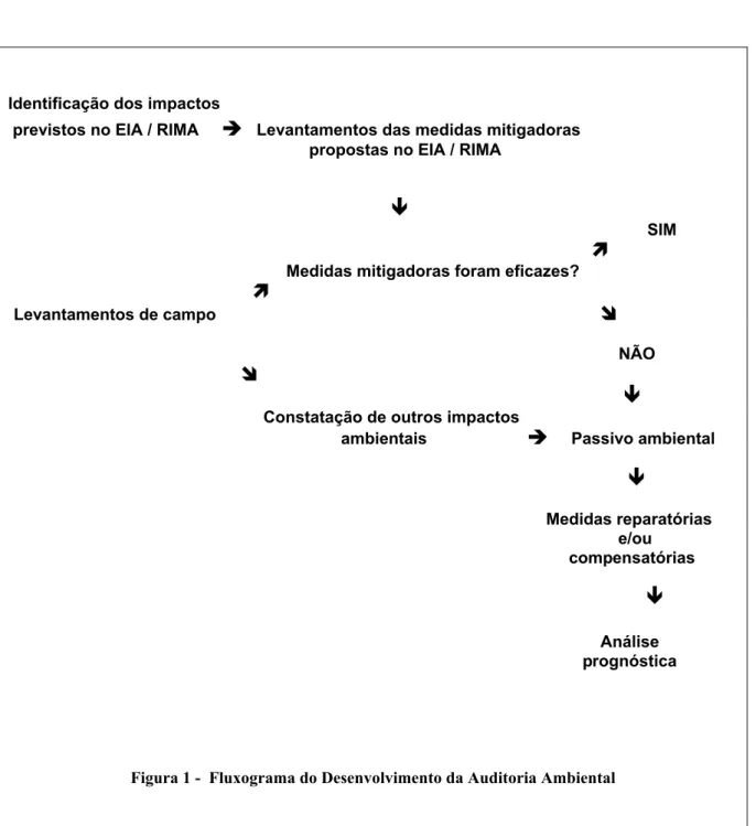 Figura 1 -  Fluxograma do Desenvolvimento da Auditoria Ambiental 