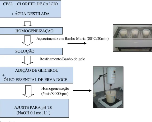 Figura 1. Fluxograma de elaboração dos revestimentos a base de concentrado protéico de soro  de leite (CPSL), óleo essencial de erva doce (OED), cloreto de cálcio (CC) e glicerol(G)