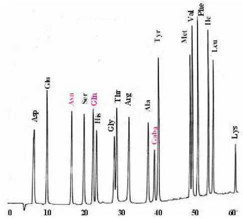 Figura  3:   Perfis   de   eluição   de   derivados   OPA-aminoácidos   do padrão Sigma AAS-18, enriquecido com Asn, Gln e Gaba, em coluna cromatográfica Spherisorb ODS-2 (4,6 mm X 250 mm) por HPLC