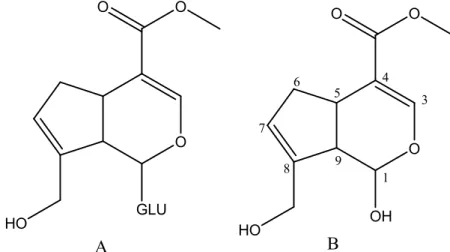 Figura  8.  Estrutura  química:  A    do  geniposídeo,  onde  GLU  é  glucose  e  B    da  genipina [Butler, Ng e Pudney (2003)]