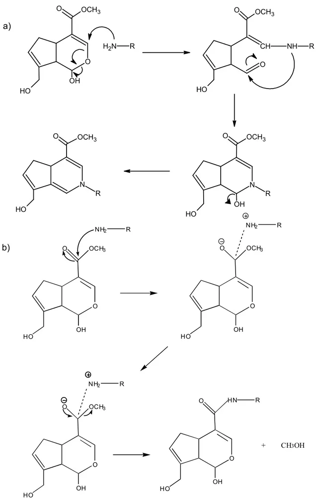 Figura  9.  Mecanismo  da  reação  de  reticulação  entre  grupo  amina  e  genipina:  a)  esquema reacional 1 e b) esquema reacional 2 [Butler, Ng e Pudney (2003)]