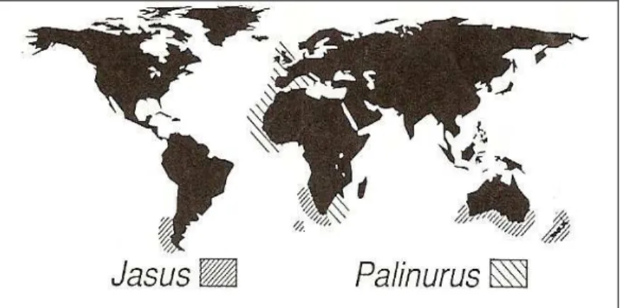 Figura  2.  Distribuição  das  lagostas  espinhosas  do  gênero  Jasus  e  Palinurus  no  cenário mundial (LIPCIUS; COBB, 1994)