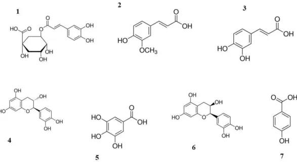 Figura 5  –  Representação estrutural das substâncias químicas presentes na espécie  C