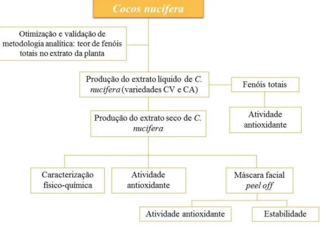 Figura 6  –  Fluxograma representativo do planejamento do estudo. 