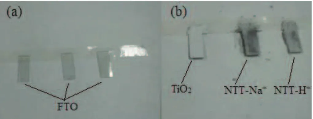 Figura  20  –  (a)  Substratos  condutores  de  FTO  e  (b)  Camadas  de  NTT-Na + ,  NTT-H +  e TiO 2  depositadas sobre FTO 