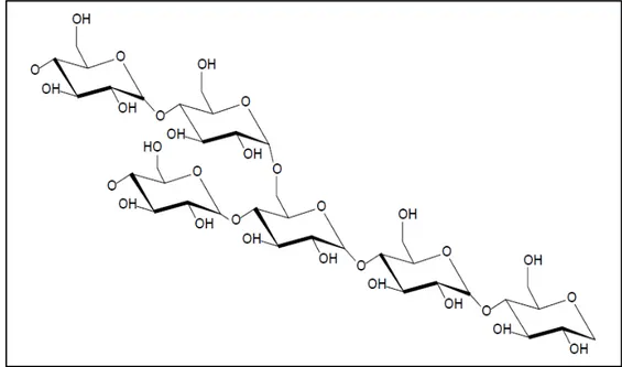 Figura 2: Estrutura da amilopectina 