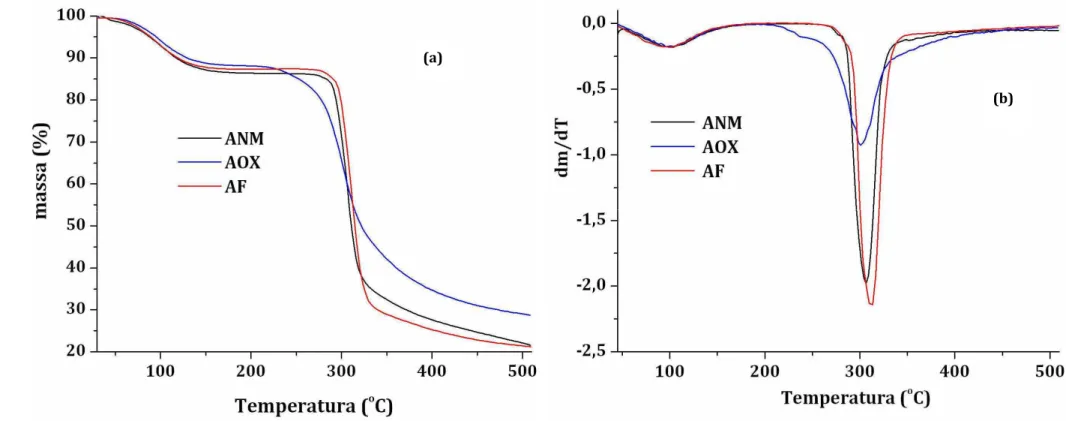 Figura 13: Termogramas TG (a) e DTG (b) dos amidos ANM, AOX e AF 