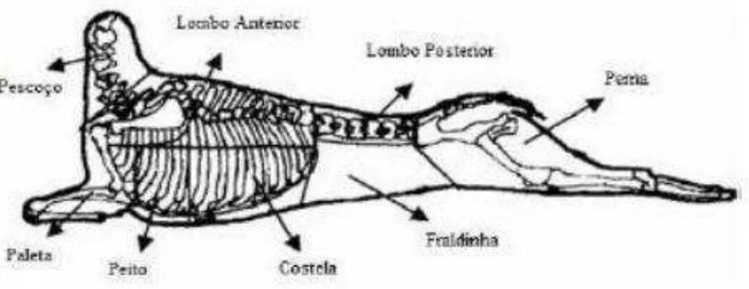 Figura 1. Esquema dos cortes comerciais da carcaça. 