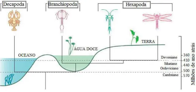 Figura 5 - Relação entre crustáceos e hexápodes, ambiente e data de origem. 