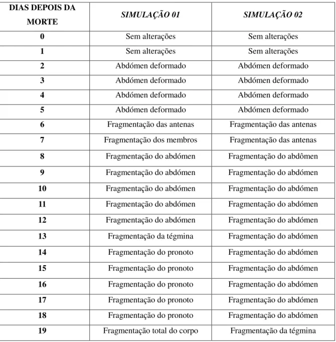 Tabela 1 – Alterações morfológicas ocorrida em baratas de acordo com o tempo pós-morte  DIAS DEPOIS DA 