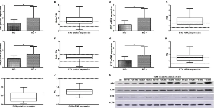 Table 3 shows the methylation pattern of the studied protein kinases in neoplastic and non- non-neoplastic gastric samples by MSP