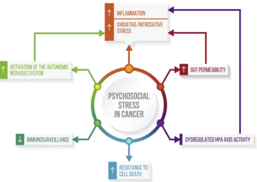 Fig. 1. Chronic stress may activate several intertwined biobehavioral mechanisms relevant for the development of depressive symptoms with a detrimental impact on cancer progression.