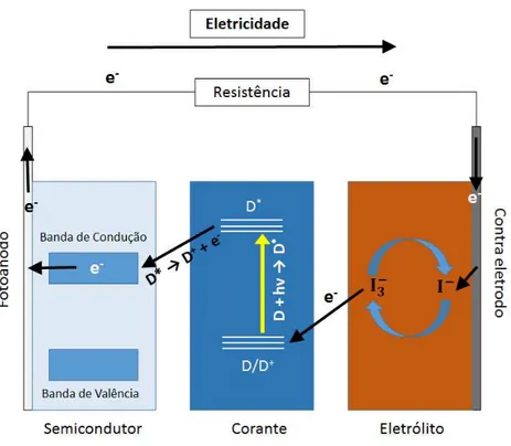 Figura 2 mostra a estrutura de uma DSSC.   