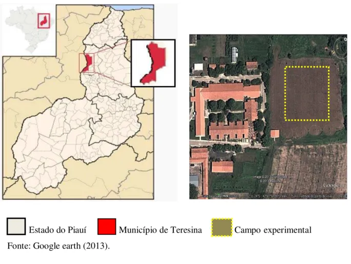 Figura  2.1  -  Imagem  por  satélite  do  campo  experimental  da  Embrapa  Meio-Norte  e  sua  localização no município de Teresina, estado do Piauí