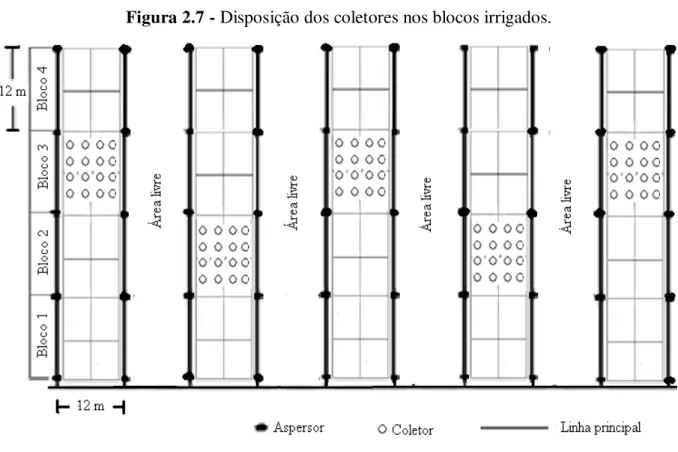 Figura 2.7 - Disposição dos coletores nos blocos irrigados. 
