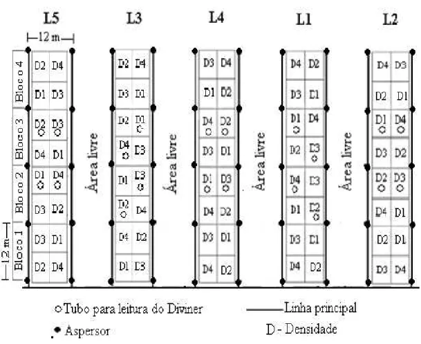 Figura 2.9 - Localização dos tubos de acesso de PVC dentro das faixas irrigadas e densidades  de plantas
