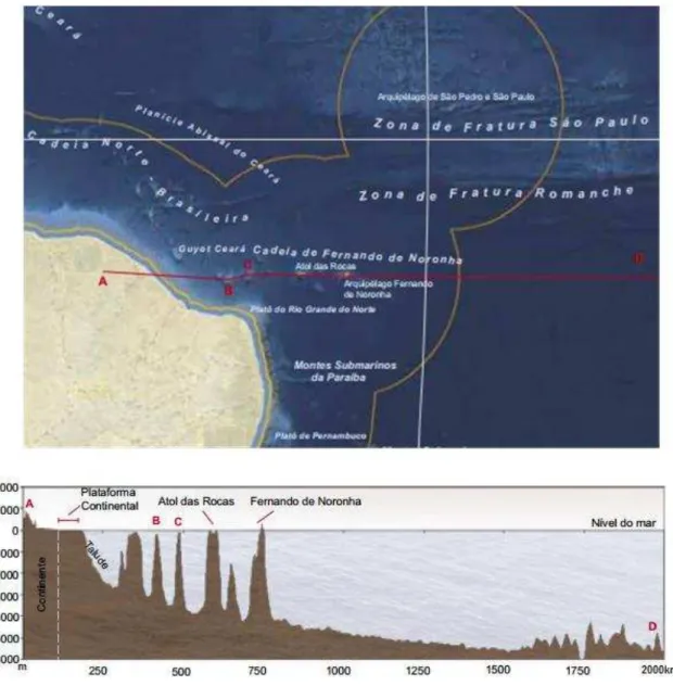 Figura 2A  –  Cadeia de Montes Submarinos do Norte/Nordeste do Brasil com destaque para a  Cadeia de Fernando de Noronha representada pela linha vermelha A-D