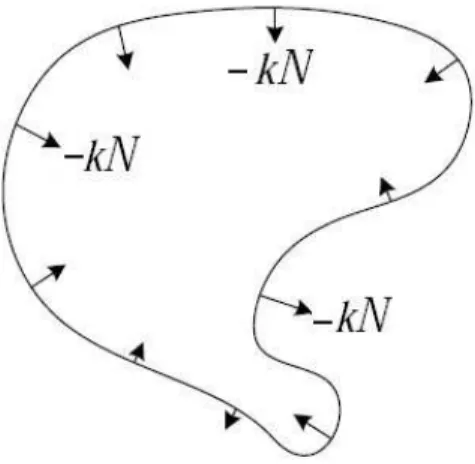 Figura 1. Curva evoluindo pelo fluxo da curvatura