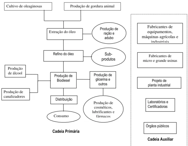 FIGURA 1 – Cadeia produtiva do biodiesel  Fonte: Adaptado de Relatório PROMINP, 2007. 