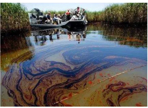 Figura  1:  Alastramento  de  óleo  para  ecossistemas  costeiros  após  o  derrame  no  golfo  do  México