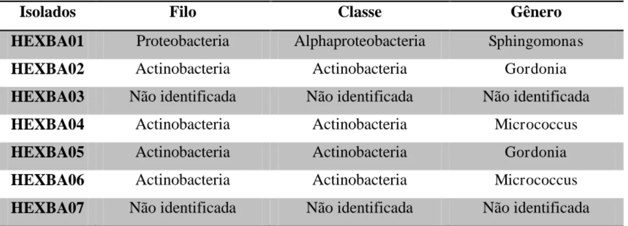 Tabela 3: Identificação molecular e classificação taxonômica das linhagens de bactérias  do consórcio HEX