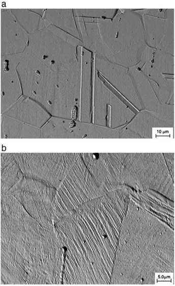 Fig. 1 – Light optical micrographs of 201 modified austenitic stainless steel specimens: (a) sample 201Mod-A (as received condition) and (b) sample 201Mod-D (deformed to ε 1 =−0.1639).