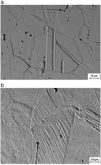 Fig. 1 – Light optical micrographs of 201 modified austenitic stainless steel specimens: (a) sample 201Mod-A (as received condition) and (b) sample 201Mod-D (deformed to ε 1 =−0.1639).