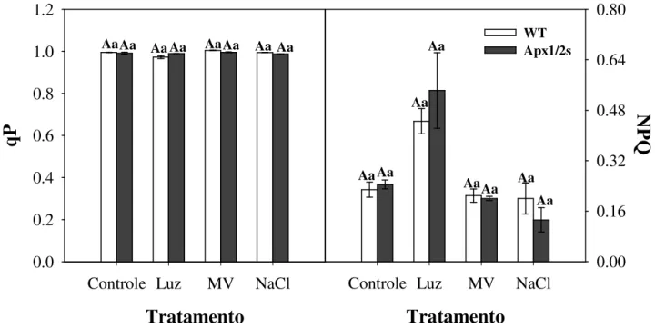 Figura  11  –  Parâmetros  de  fluorescência  da  clorofila  a  em  plantas  de  arroz  não  transformadas  (WT) e silenciadas nas isoformas da APX citosólica (Apx1/2s) sob estresses abióticos ou não