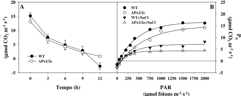 Figura  14  –  Trocas  gasosas  em  plantas  de  arroz  não  transformadas  (WT)  e  silenciadas  nas  isoformas da APX citosólica (Apx1/2s) sob estresses abióticos ou não