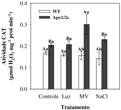 Figura 19 - Atividade de catalase em plantas de arroz não transformadas (WT) e silenciadas nas  isoformas da APX citosólica (Apx1/2s) sob estresses abióticos ou não