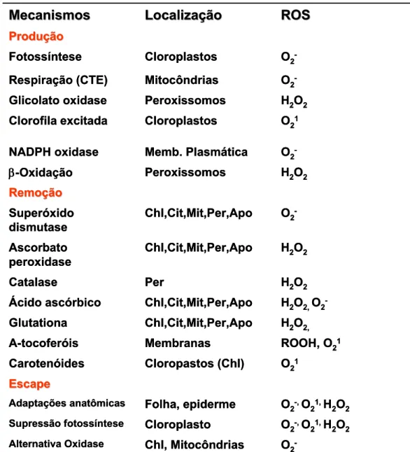 Tabela 2. Produção, localização, remoção e estratégias de “fuga” de espécies reativas  de oxigênio em plantas.(Adaptado de Mittler,2002)