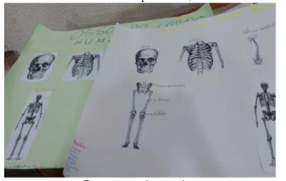 Figura 6  –  Cartazes sobre os ossos do corpo humano, elaborados na aula de dança. 