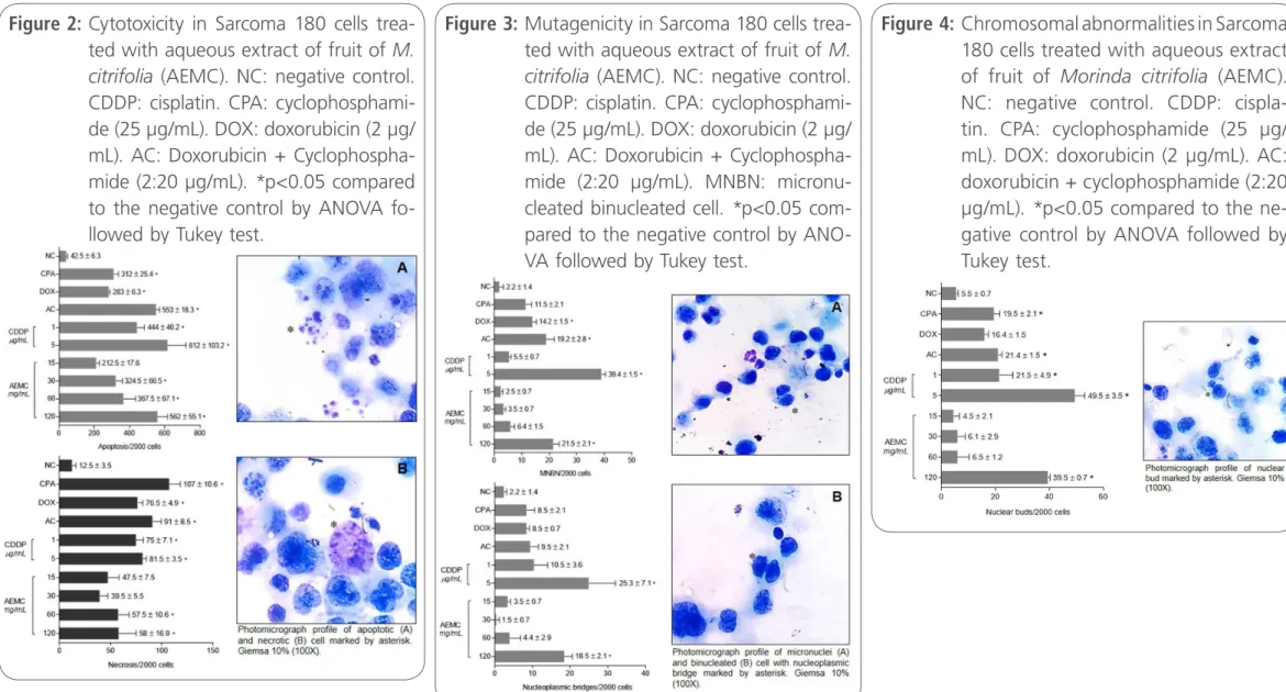 Figure 2:  Cytotoxicity in Sarcoma 180 cells trea- trea-ted with aqueous extract of fruit of M