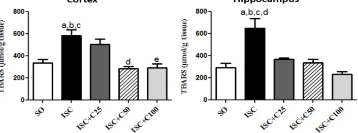 Fig 2: Determination of lipid peroxidation (TBARS assay) in brain cortex and hippocampus from ischemic rat pups, at the 3 rd  post-ischemia day