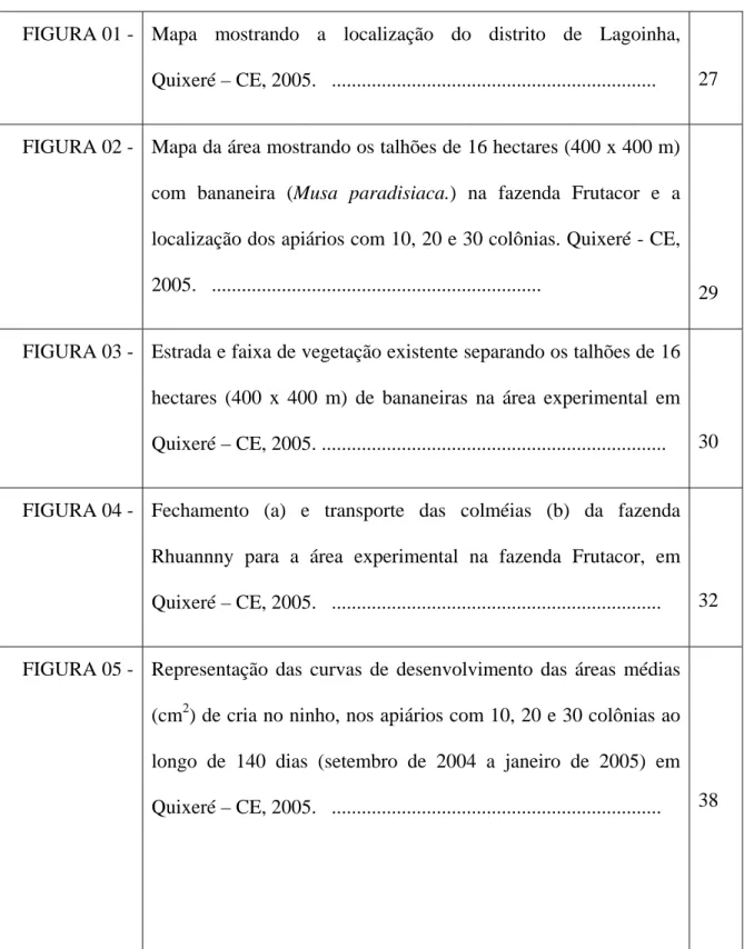 FIGURA  01  - Mapa mostrando a localização do distrito de Lagoinha,  Quixeré – CE, 2005