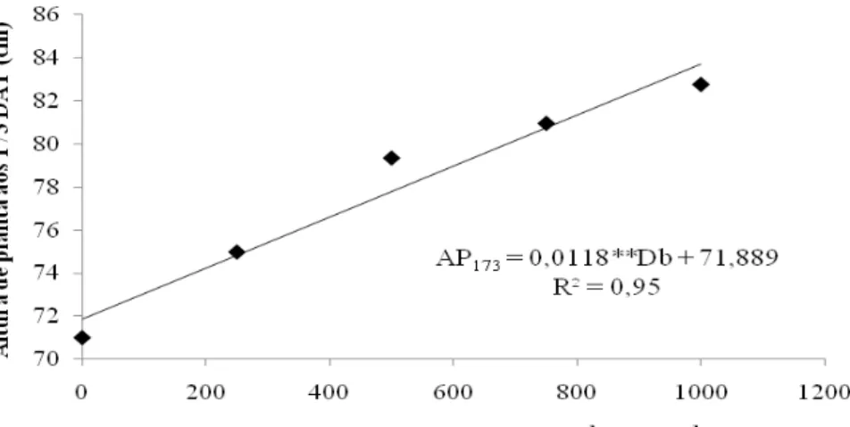 Figura 15 – Altura de plantas aos 173 DAT de pimentão em função das doses de  biofertilizante