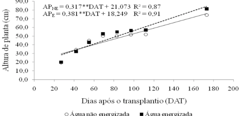Figura  16  –   Altura  de  plantas  de  pimentão  em  função  dos  DAT  (dias  após  o  transplantio) e irrigação com água energizada e não energizada